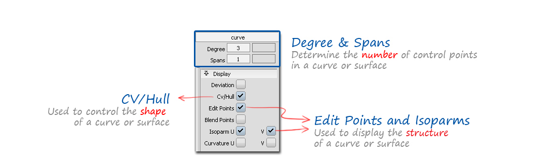 Display of NURBS Terminology on the Control Panel