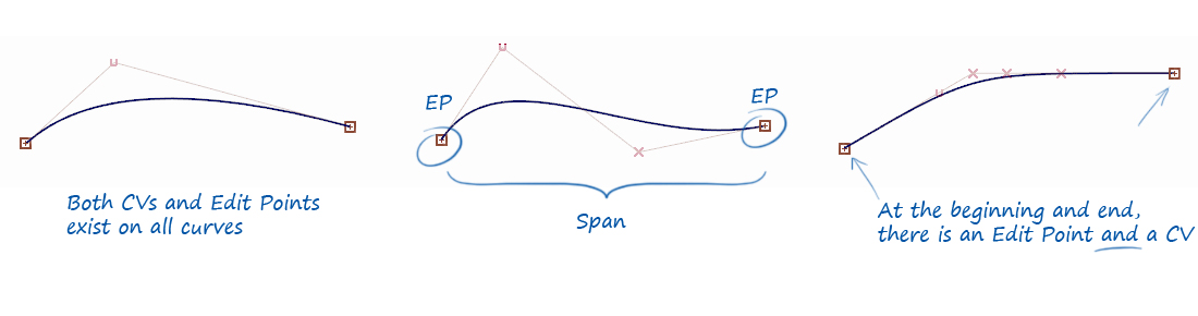 Edit Points define the ends of a span